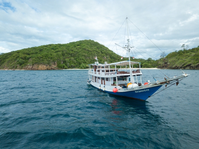 boat cajoma eco