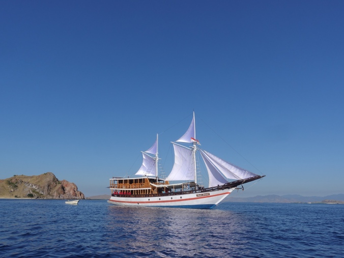 klm-maipa-deapati-liveaboard-indonesia